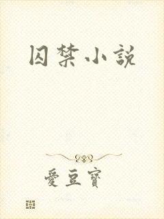 囚禁小说封面