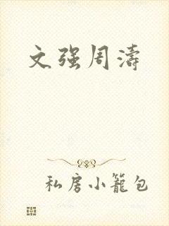 文强周涛