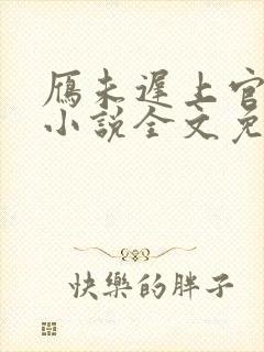 雁未迟上官穿越小说全文免费阅读