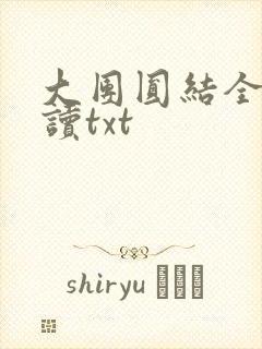 大团圆结全文阅读txt