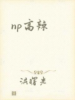 np高辣