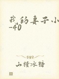 我的妻子小谨1-40