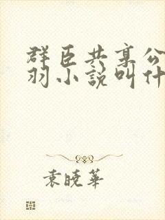群臣共享公主银羽小说叫什么