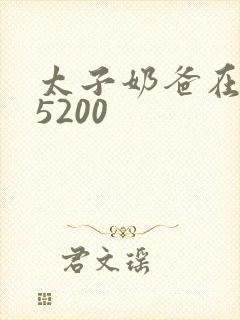 太子奶爸在花都5200