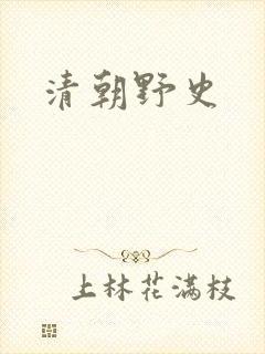 清朝野史