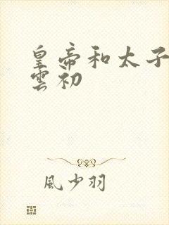 皇帝和太子妃h云初封面