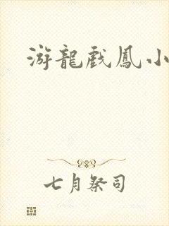 游龙戏凤小说封面