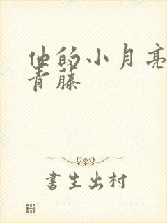 他的小月亮by青藤