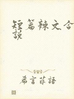 短篇辣文合集小说封面