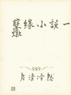 孽缘小说一家乱炖