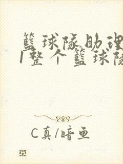 篮球队助理hv1整个篮球队
