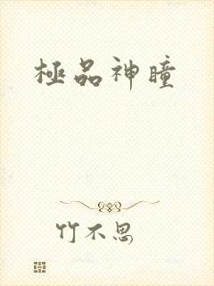 极品神瞳封面