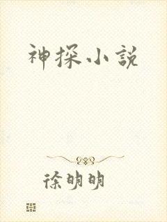 神探小说
