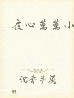 夜心万万小说
