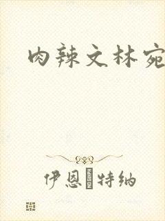 肉辣文林宛宛封面
