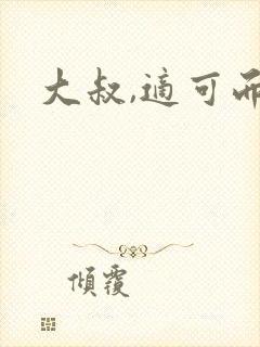 大叔,适可而止封面