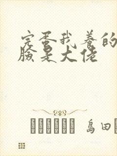 完蛋我养的小白脸是大佬封面