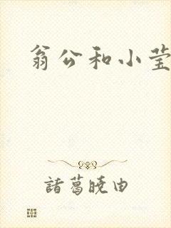 翁公和小莹