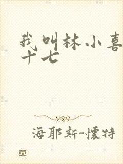 我叫林小喜今年十七封面