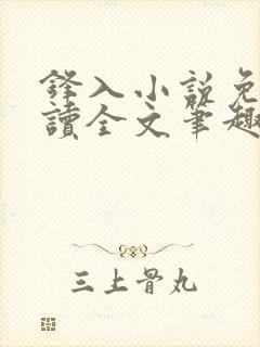 锋入小说免费阅读全文笔趣阁封面
