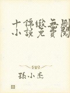 十锦缎无删原著小说免费阅读封面