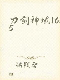 刀剑神域16.5