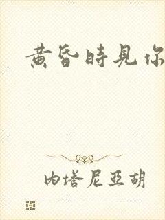黄昏时见你
