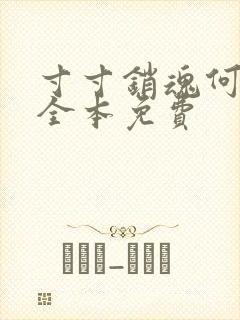 寸寸销魂何生祥全本免费