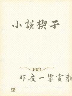 小说楔子