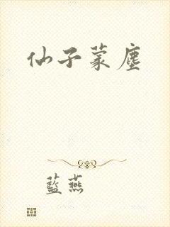 仙子蒙尘封面