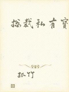 总裁私有宝贝