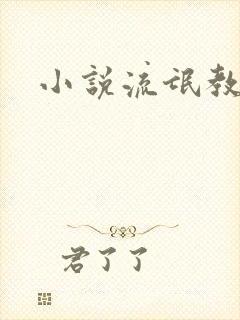 小说流氓教师
