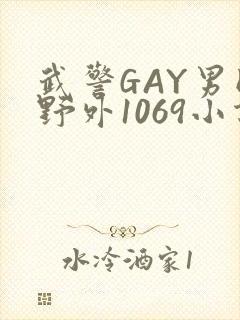 武警GAY男同野外1069小说封面