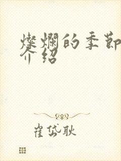 灿烂的季节剧情介绍封面