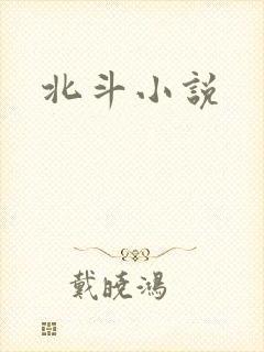 北斗小说封面