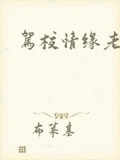 驾校情缘老赵封面
