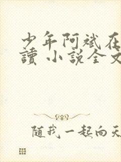少年阿斌在线阅读 小说全文免费封面