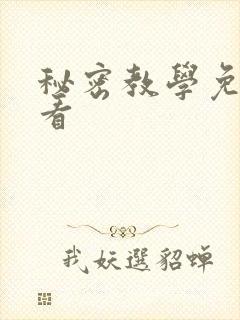 秘密教学免费观看封面