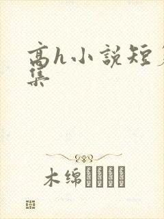 高h小说短篇合集封面