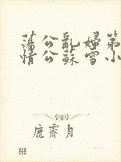 荡公乱妇第1章情公苏雪小说封面