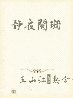 静夜阑珊