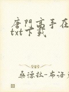 唐门高手在异世txt下载封面