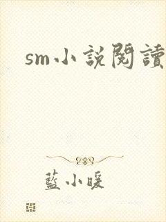 sm小说阅读