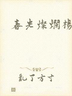 春光灿烂杨家将