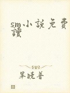 sm小说免费阅读封面