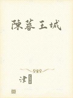 陈蓉王城封面