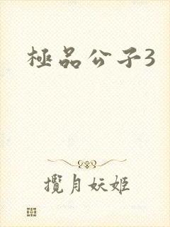 极品公子3
