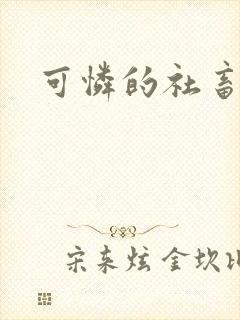 可怜的社畜