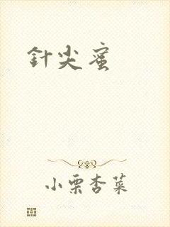 针尖蜜封面