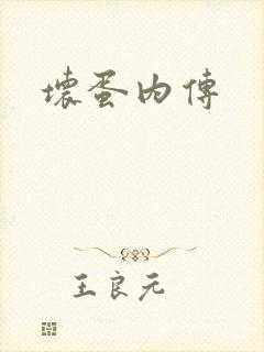 坏蛋内传封面